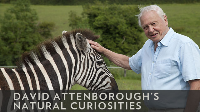 David Attenborough-A természet csodái 2. évad